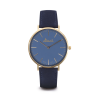 Moana Blue Blue