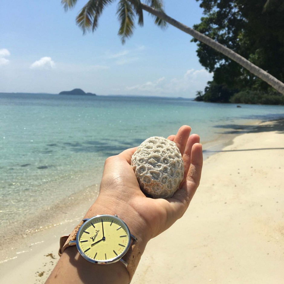 Kekahi Pineapple HWI